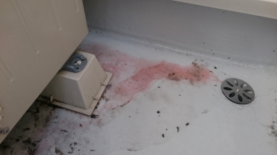 ピンクの汚れは赤カビ エアコンクリーニング パシフィックサービス大分支店