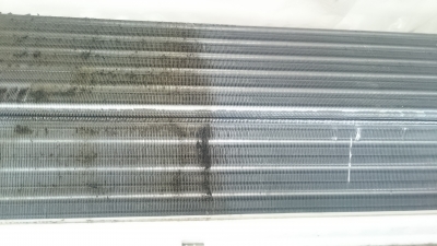 20161206_1533562.jpg