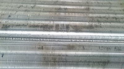 20161206_1533563.jpg
