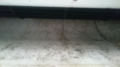 20161206_1533566.jpg